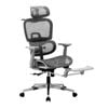 Oikiture Ergonomic Office Chair  Grey