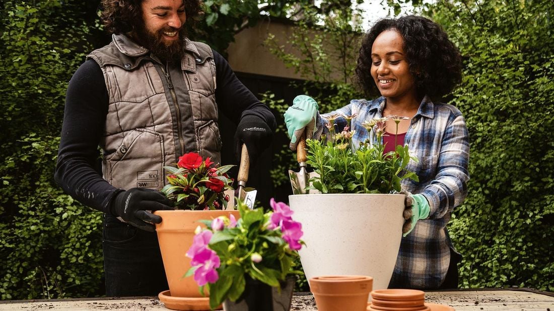 Man and Women smiling as they plant some pot plants in white and terracotta pots