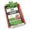 Mr Fothergills Cat Nip Seed Raiser Kit