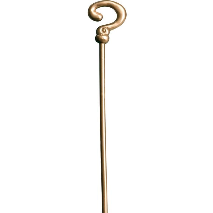 The Riddler Cane DC Comics Halloween Costume Accessory with Gold Question Mark Handle, ONE-SIZE