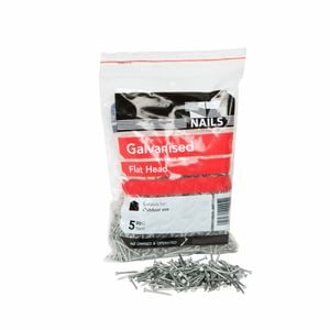 NZ Nails 19 x 1.6mm 500g Galvanised Flat Head Nails