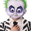 Beetlejuice Googly Eyes Injection Moulded Mask Adult Halloween Costume Green