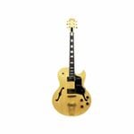 Axiom Columbia Archtop Electric Guitar - Natural