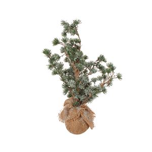 Colours Of Christmas 50cm Bonsai Xmas Tree - Green