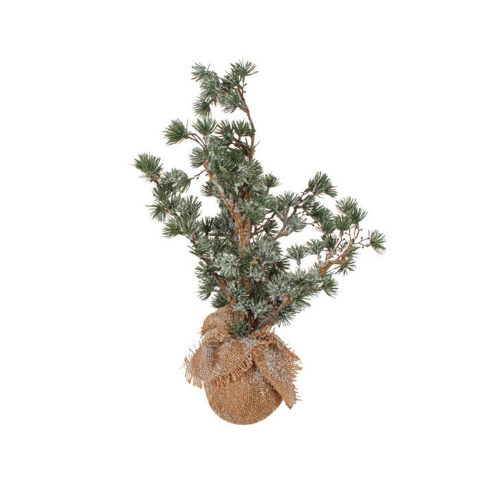 Colours Of Christmas 50cm Bonsai Xmas Tree - Green