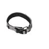 Happy Tails Medium Explorer Dog Collar