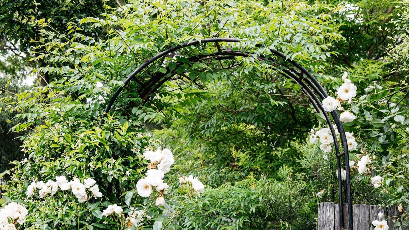 A red brick pathway leads to a timber gate covered by a green arbour with climbing white roses.