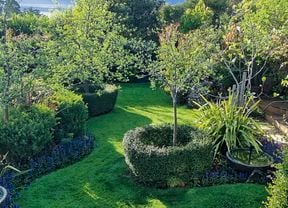  A backyard design with curved garden beds filled with green trees and manicured hedging separated by lush green grass.
