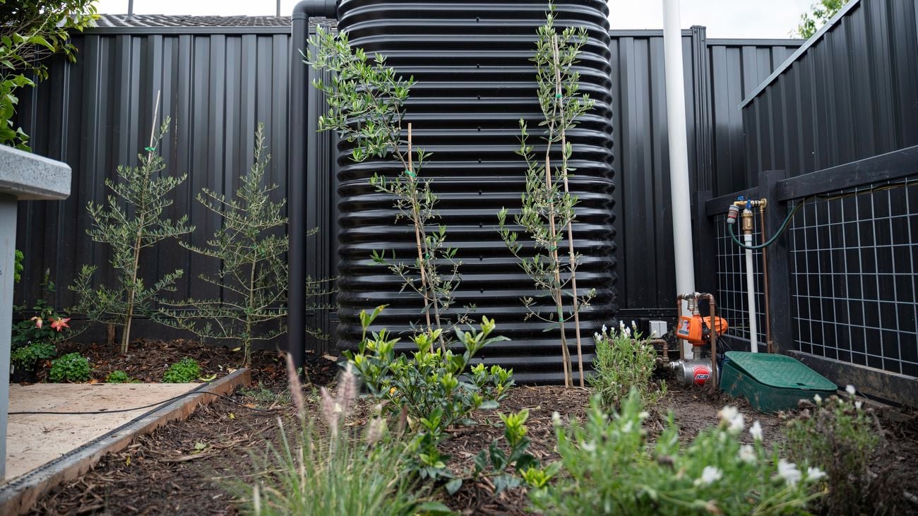 Water tank sitting in a back garden surrounded but plants.