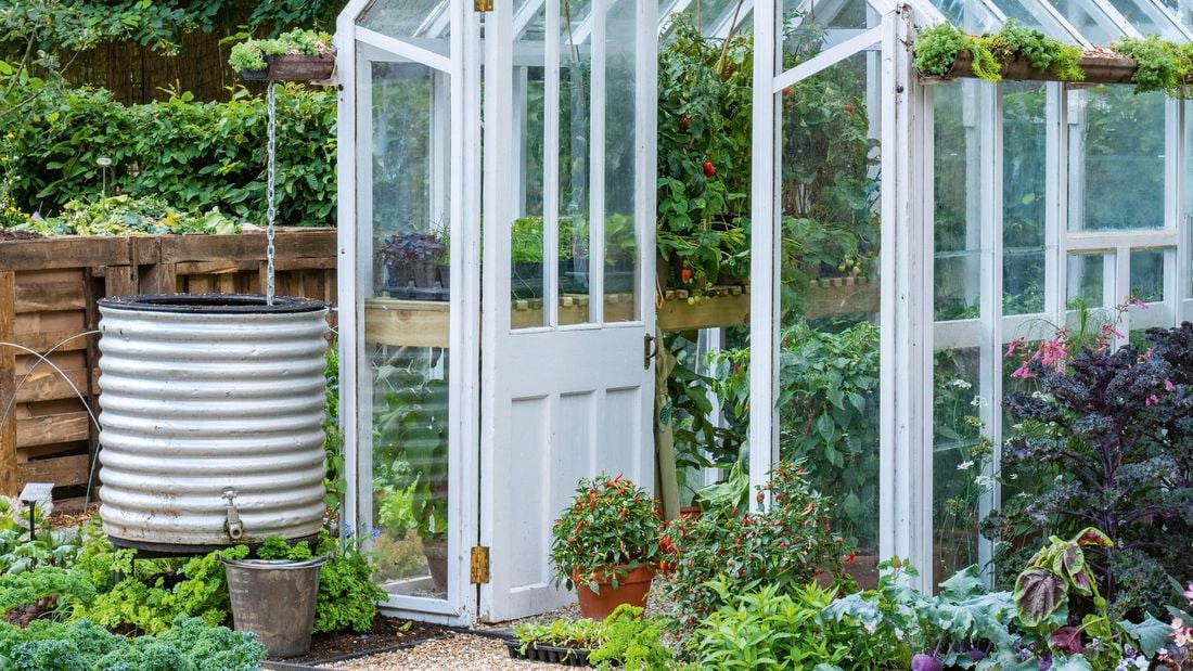 A vegetable garden with a glass house.