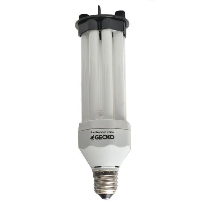 Uv black light bulbs bunnings clearance