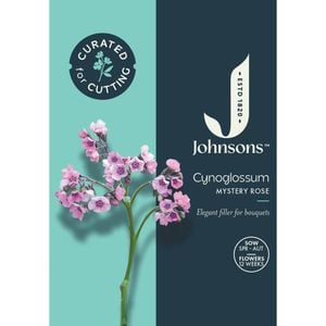 Johnsons Curated For Cutting Cynoglossum Mystery Rose