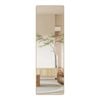 Yezi Full Length 120cm Door Wall Mounted Hanging Mirror