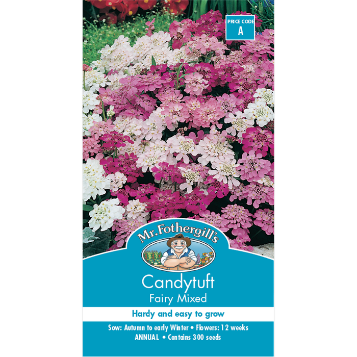 Mr Fothergill's Candytuft Fairy Mixed Flower Seeds