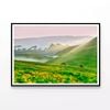 Horses Surrounded By Grasslands  Print 100% Australian Made 120x90cm  (Poster)