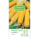 Country Value Incredible Sweet Corn Vegetable Seeds
