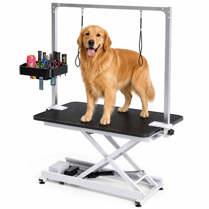 Advwin Electric Lift Pet Grooming Table Heavy Duty  W/storage