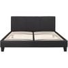 Monica PU Leather Queen Bed Frame - Black