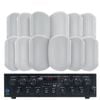 Weconic Outdoor Speaker Package With 480w Bluetooth Amplifier White