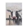 P&P Cow on Farm Canvas Print - Vibrant Wall Art for Living Rooms, Bedrooms, Offices 70x100cm