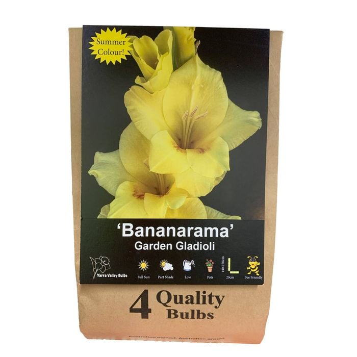 Yarra Valley Bulbs Gladioli Bananarama Bulb 4 Pack
