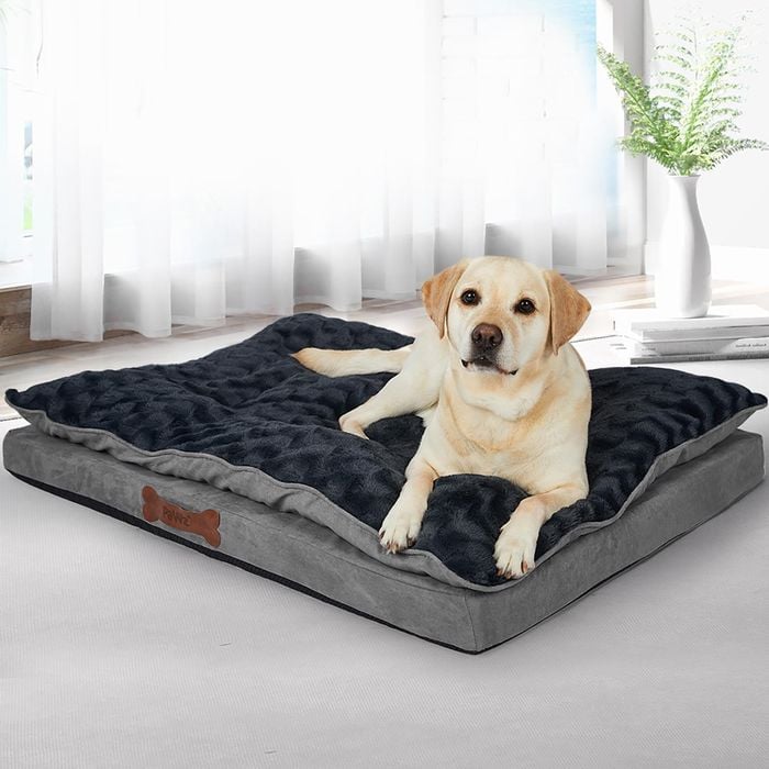 Pawz Pillowtop Memory Foam Pet Calming Bed XL Grey Bunnings