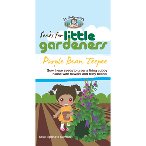 Mr Fothergill's Bean Purple Teepee Little Gardeners Seeds