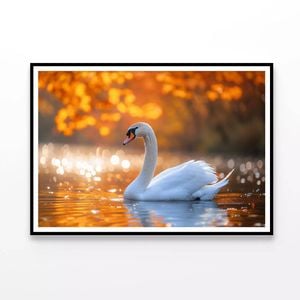 Swans on Autumn Pond  Print 100% Australian Made 120x90cm  (Poster)