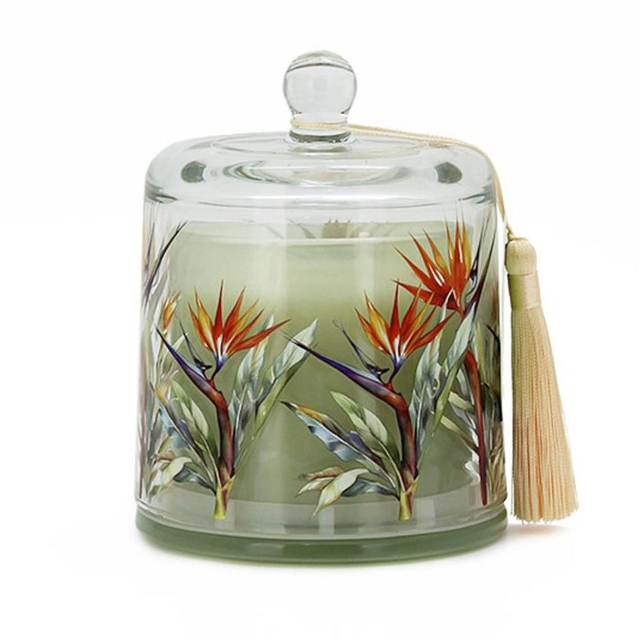 Candle SOY Jar Cloche 270g Guava Mango