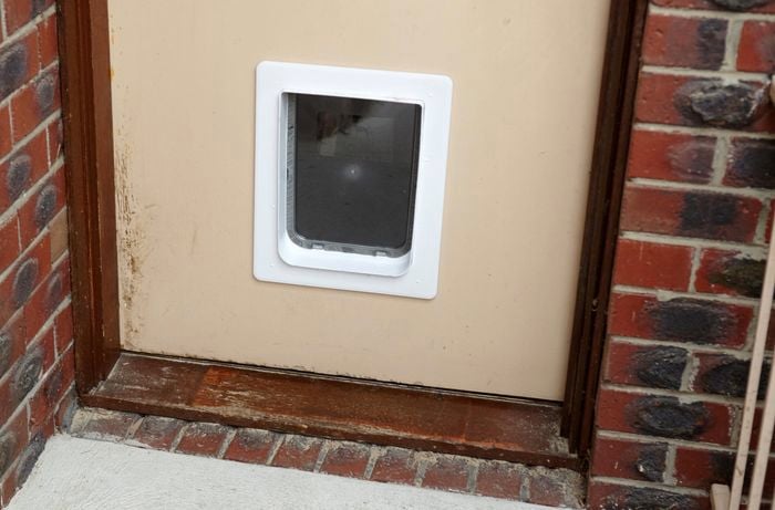 The entry door of a house with a pet door set into it