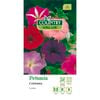 Country Value Seed Petunia Colorama