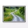 Road with Flowers & Trees  Print 100% Australian Made 90x60cm  (Poster)