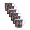 6x Ashdene Midnight Tawny Frogmouth Bird Drinking Mug Cup Animal Art