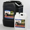 Staysound Max RBC Horses Vitamin & Iron Supplement 5L