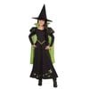 Wizard of Oz Wicked Witch of the West Deluxe Halloween Costume for Kids with Hat, Small