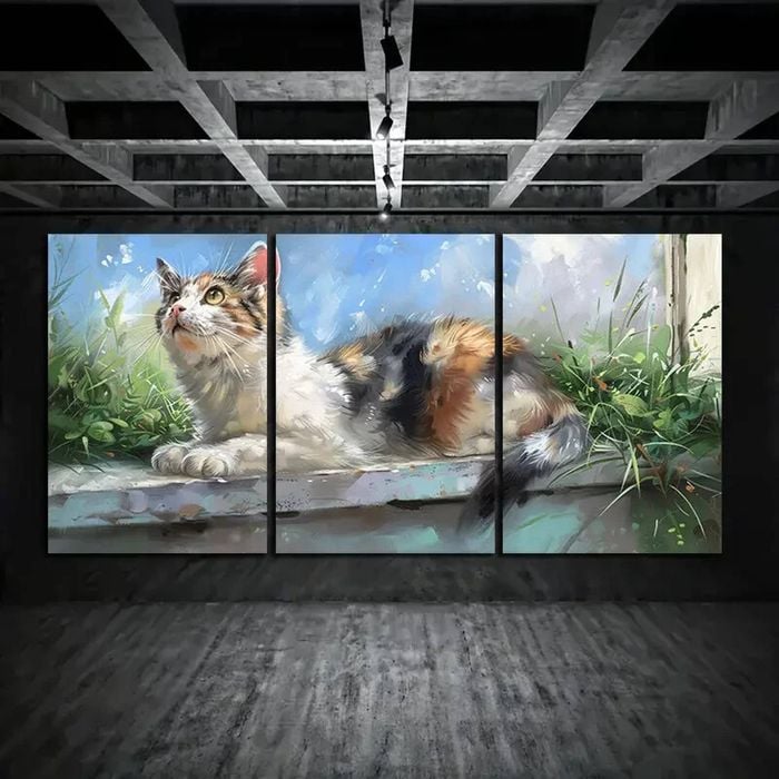 3pcs Quiet and Peaceful Cat Blue Sky Print 100% Australian Made 3 x 40x60cm (Metal Print)