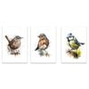 3pcs Classic Modern Bird Art  Print 100% Australian Made 3 x 40x60cm (Metal Print)