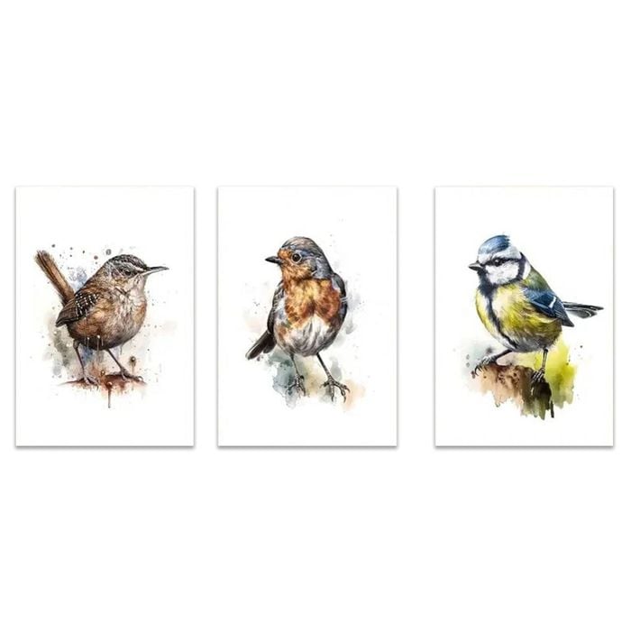 3pcs Classic Modern Bird Art  Print 100% Australian Made 3 x 40x60cm (Metal Print)