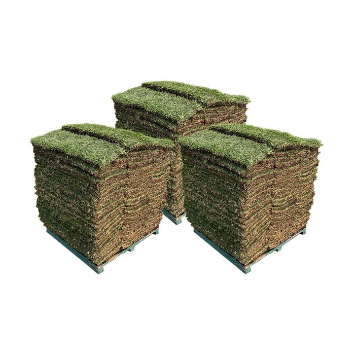 Sir Walter DNA Certified Buffalo 150m² Soft Leaf Buffalo Turf - Pallet