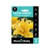 Bloomin Bulbs Lilium Double Sundew - 1 Pack