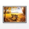 Wooden Bench with Grass, Trees  Print 100% Australian Made 120x90cm  (Poster)