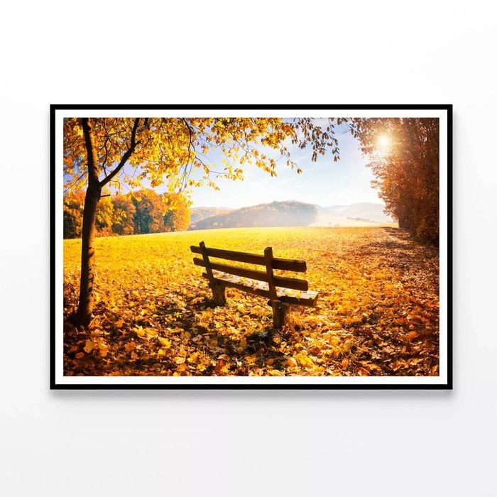 Wooden Bench with Grass, Trees  Print 100% Australian Made 120x90cm  (Poster)