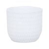 18 x 16cm White Dotty Ceramic Pot - 180mm