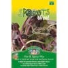 Mr Fothergill's Hot and Spicy Mix Sprouts Alive Seeds