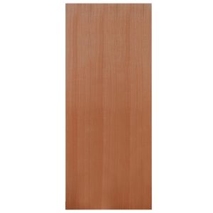 Hume 2040 x 720 x 35mm External Door SPM Flush X1