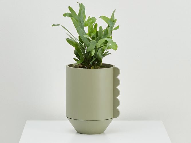 Feature Pot - Frill - Gum Leaf w plant