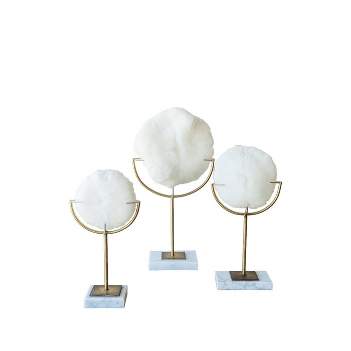 Darlin Resin/Metal 20x38cm Bloom Faux Coral on Stand Large White/Gold