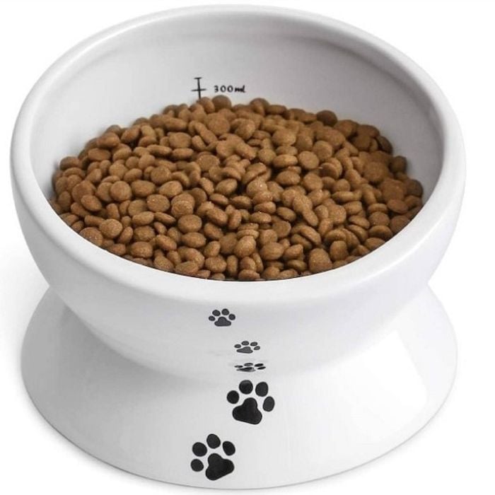 Cat Bowl Elevated, Raised Cat Food Bowl, Tilted Cat Dish, Ceramic Water Bowl for Flat-Faced Cats or Small Dogs, No Spill, 444 ML