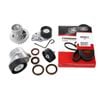 Timing Belt Kit + WP + DB + Tensr for Holden Barina TK F16D3 1.6L DOHC