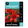 Bloomin' Bulbs Lilium Asiatic Red Twin - 2 Pack